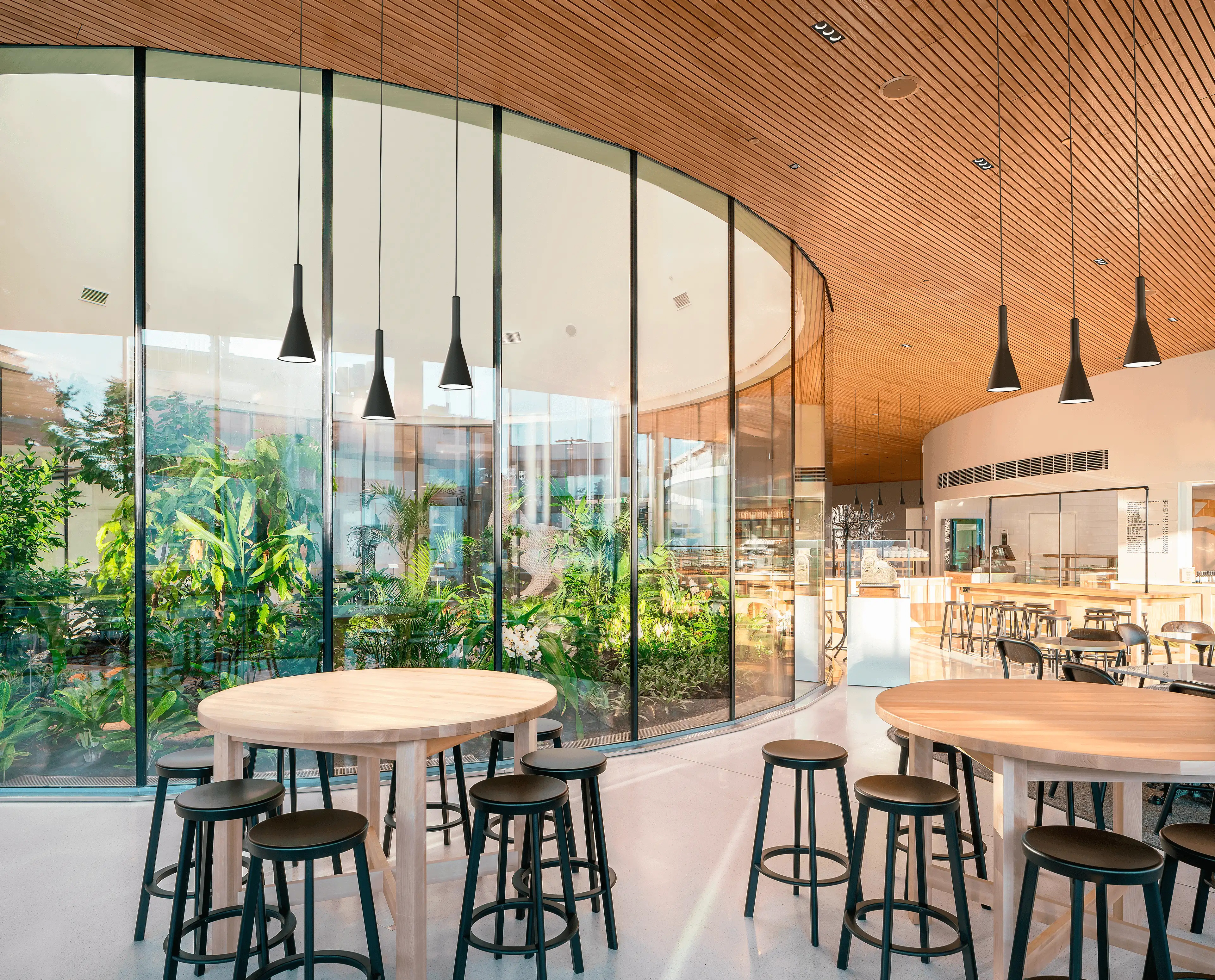 Fluxwerx Speak, Evolved