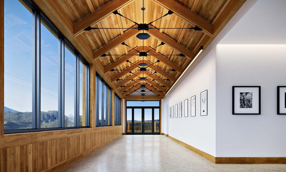 Focal Point Polina Uplight