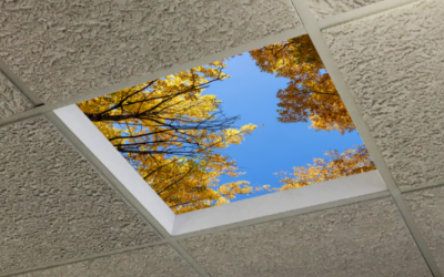 New Star Lighting. PCSKLMRI. POSITIVECARE SKYLITE MRI SERIES.