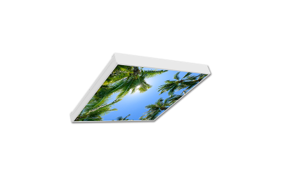 Viscor. NOR. The North Aurora Visioneering Configurable Lay-in Backlit Troffer.