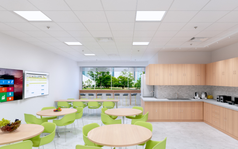 Axis Lighting. SKPA. SkyePlane Regressed 2x4 Recessed T-Bar & Drywall.