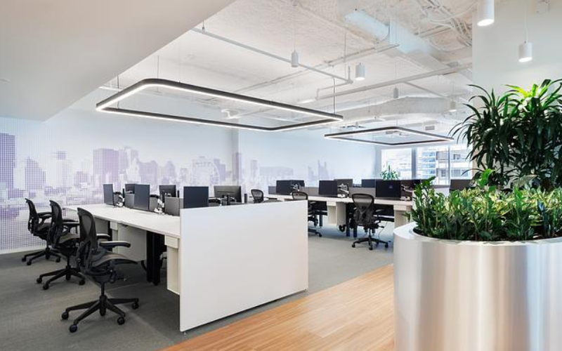 ED CURVES+. by Edison Lighting Group