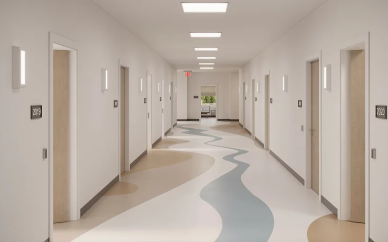 Fail-Safe. FSC. Shallow Sconce Behavioral Health / High Abuse Wall or Ceiling Mount ADA Compliant.