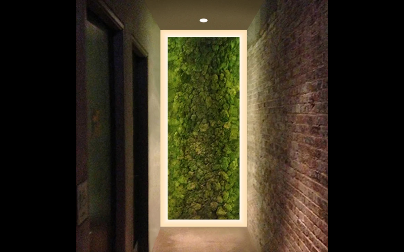 PureEdge Lighting. VG. VERGE WALL WARM DIM 24VDC, PLASTER-IN LED SYSTEM.