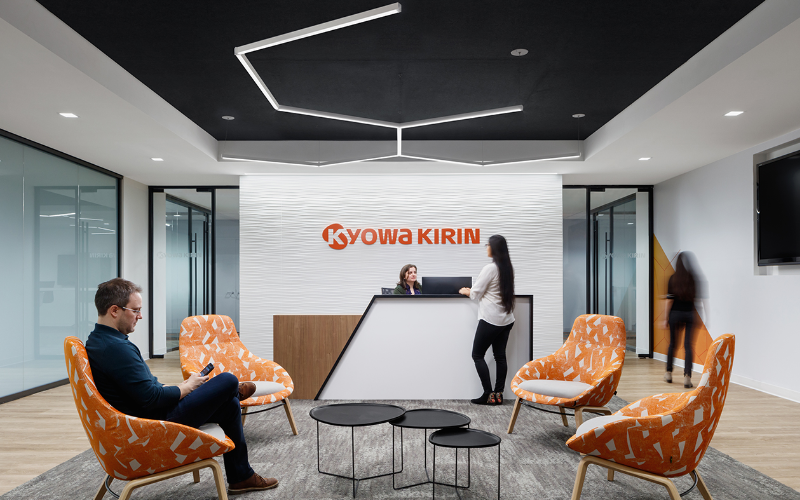 PureEdge Lighting. NSDM. NOVA SUSPENSION DOWNLIGHT MODULAR - REMOTE POWER.