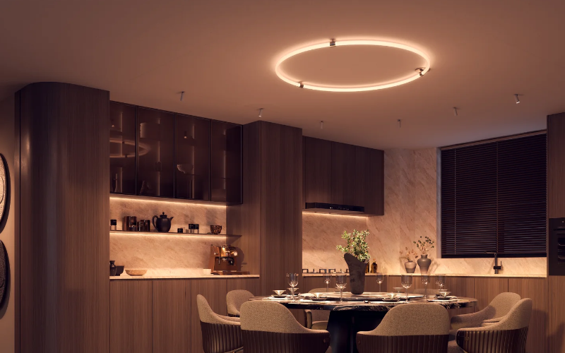 PureEdge Lighting. HCDP. SOLINA 360 HOOP CEILING 24VDC WITH POWER, STATIC WHITE & WARM DIM.