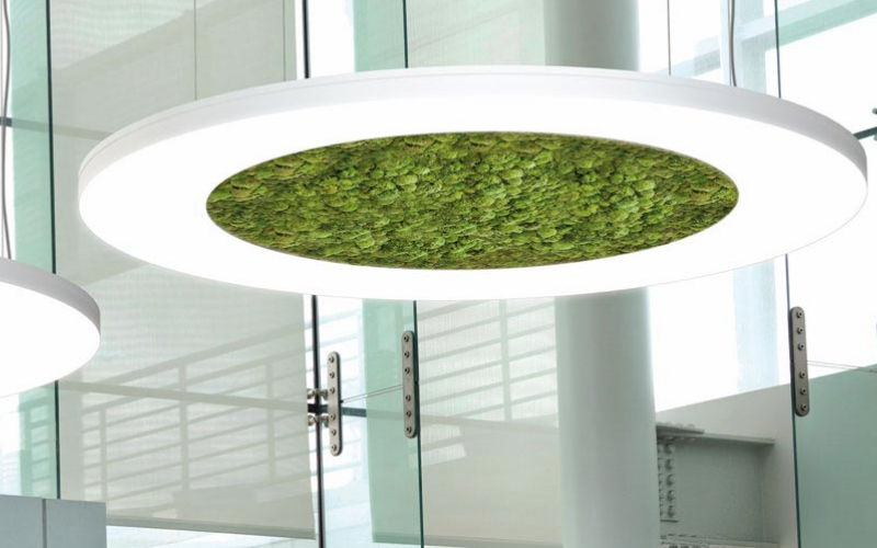 Sattler. LUCE. LUCE VERDE ANELLO.