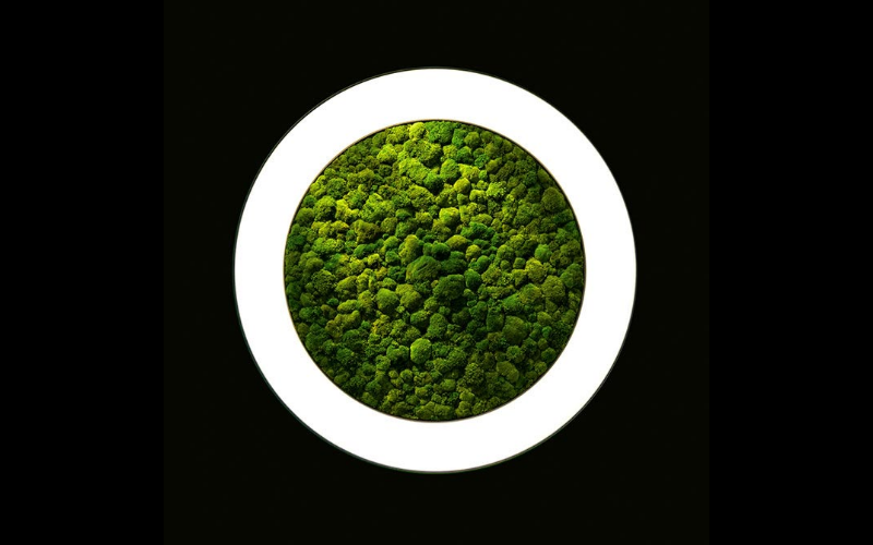 Sattler. LUCE. LUCE VERDE ANELLO.