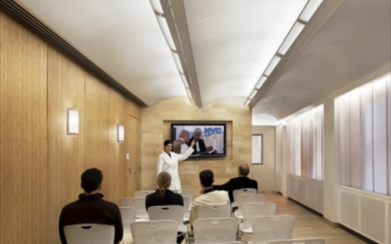 Visa Lighting. CB6250. Masque 11.