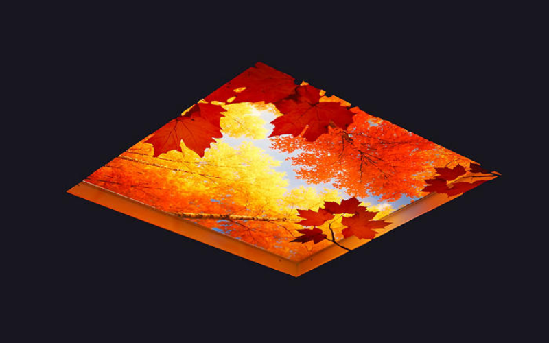 Viscor. NOR. The North 3D Visioneering Configurable 3D Lay-in Backlit Luminaire.