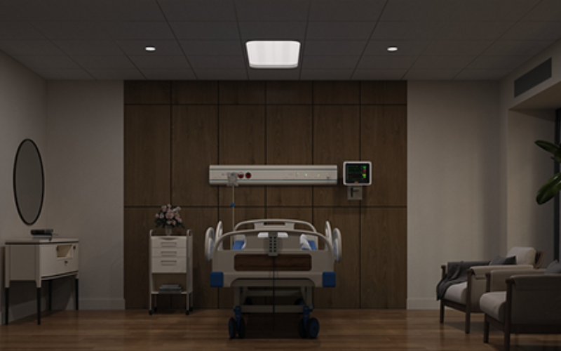Viscor. MD2-ALT. MD2-ALTO Certolux Patient Room Luminaire with Ambient and Exam functions.