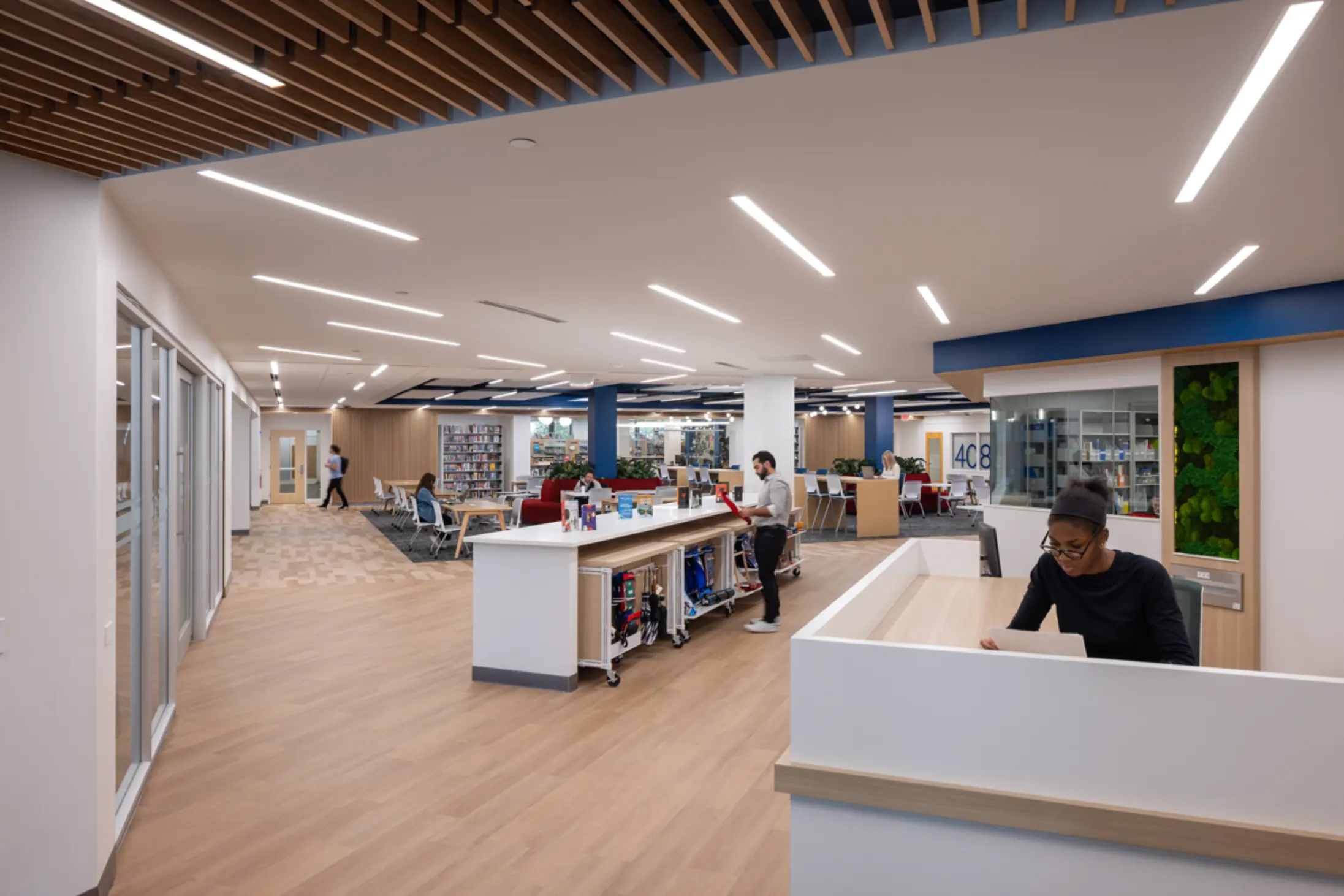 Axis Lighting Gumberg Library