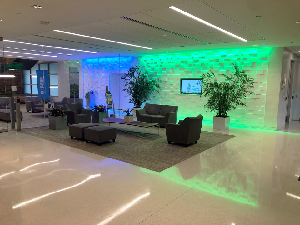 Color Kinetics BASF