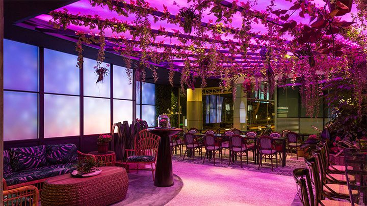 Color Kinetics Picnic Restaurant