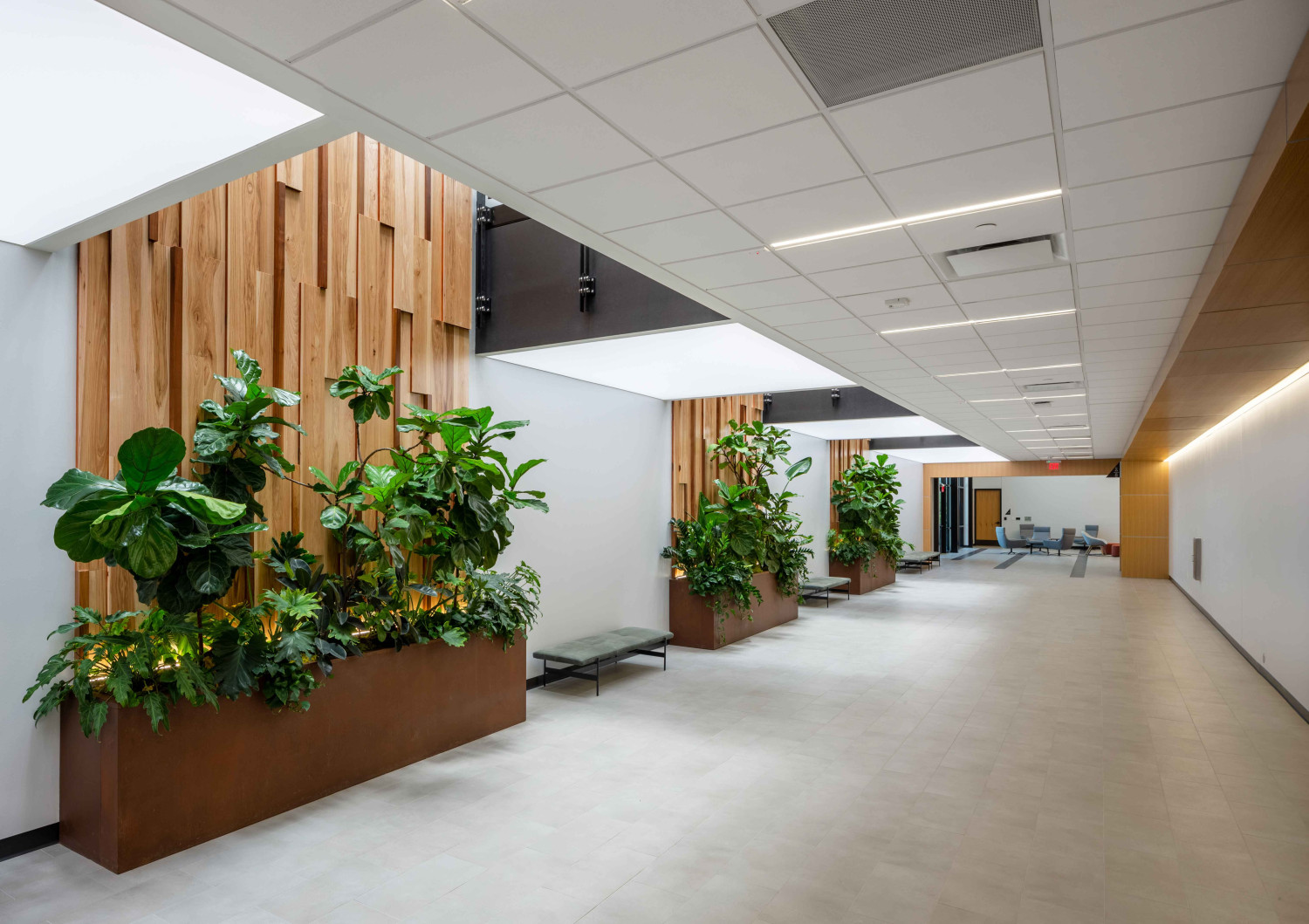 Cooledge Austin Continuum