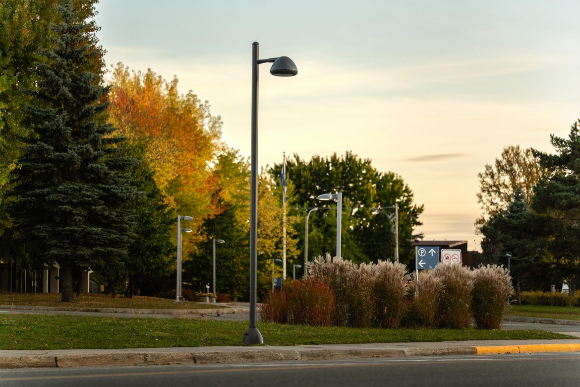 Cyclone Revitalization of 7th Street