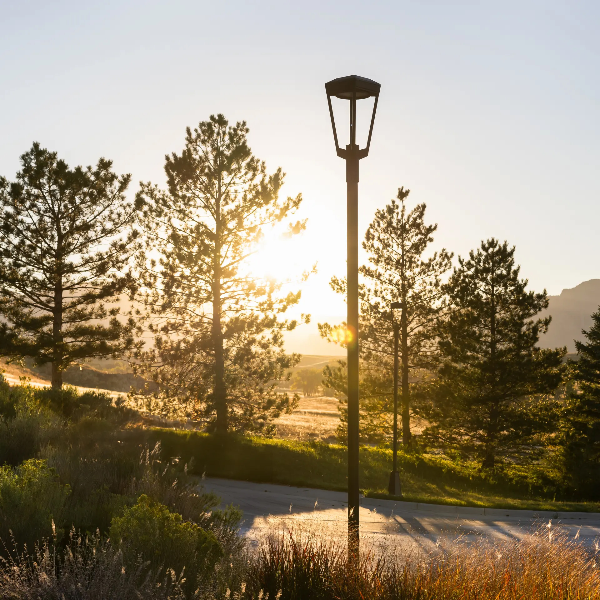 Landscape Forms Superior Town Center