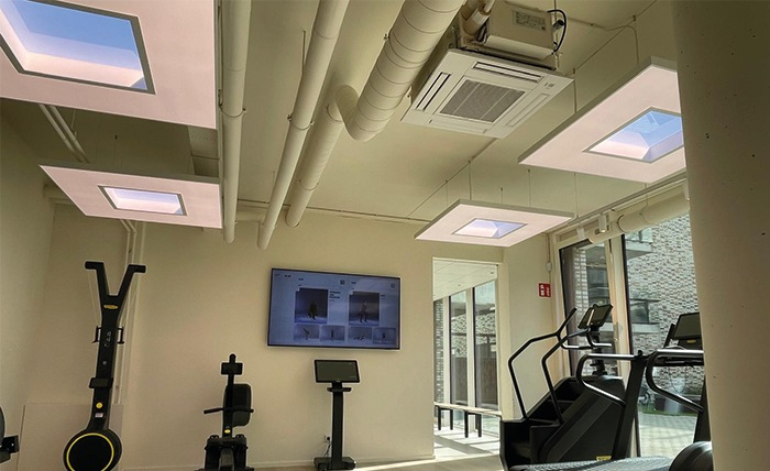 Ledalite Fit Depot Gym