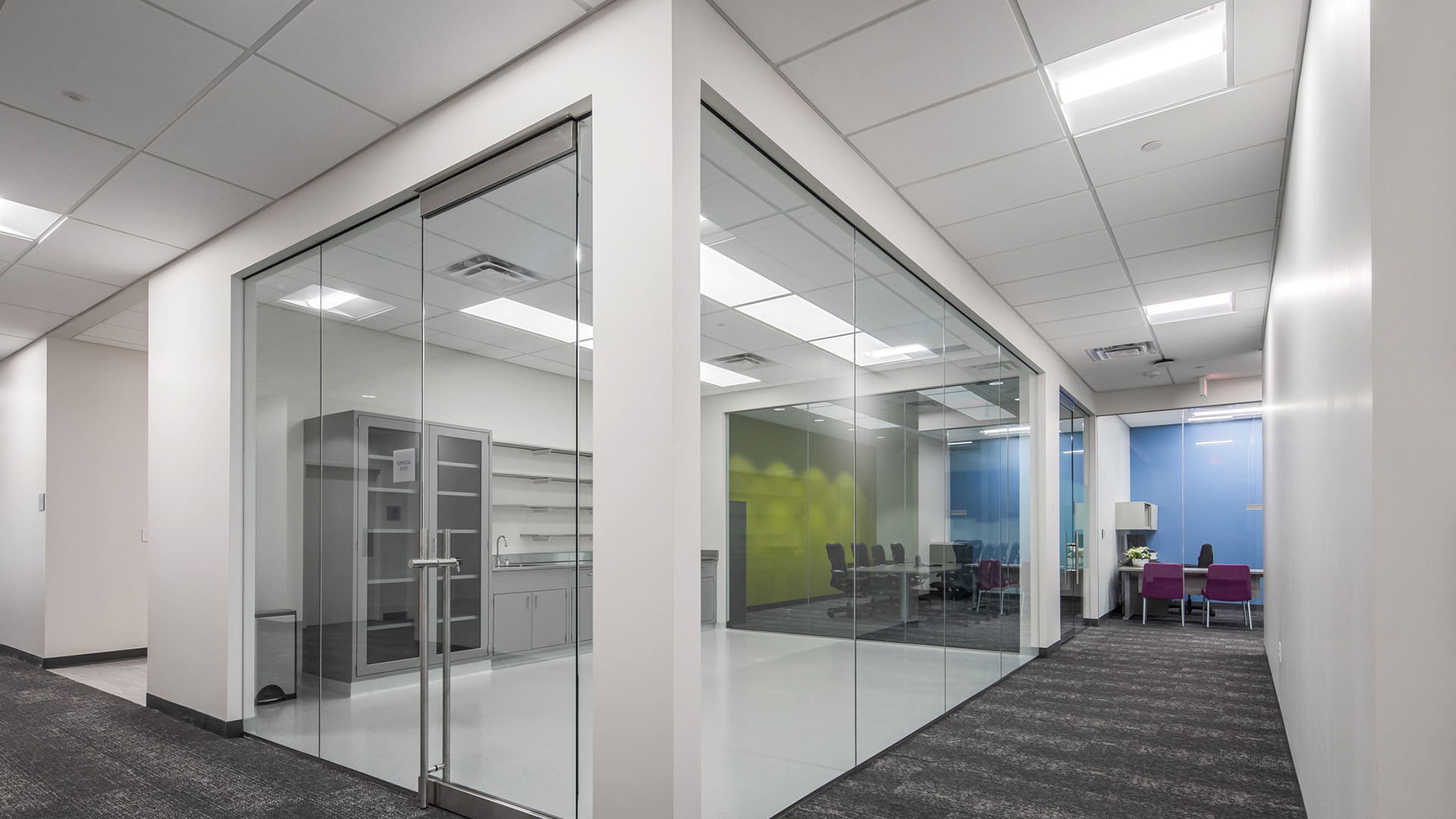 Lithonia Lighting Collagen Solutions