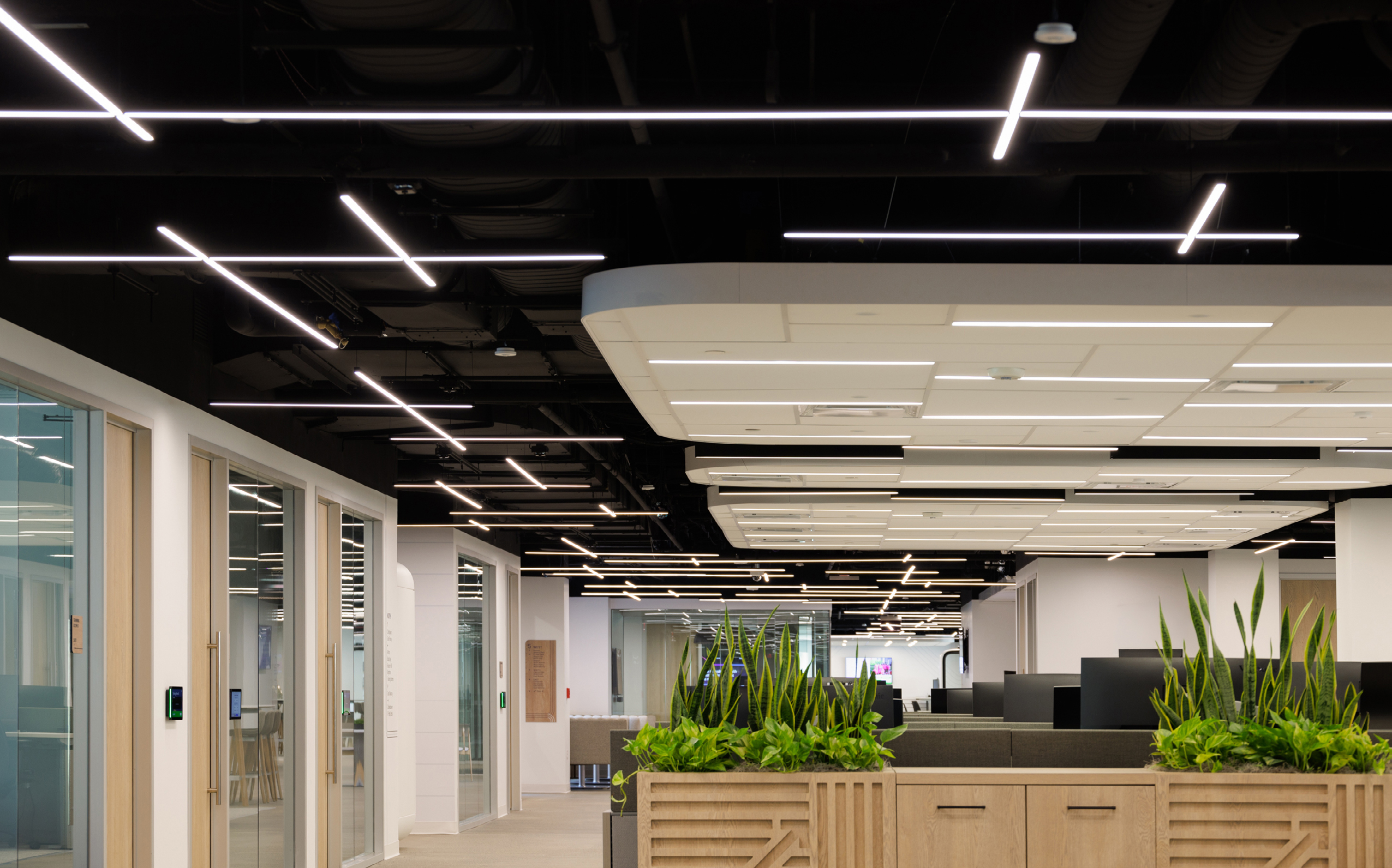 PureEdge Lighting New Office Space Uses PureEdge Lighting to Connect With Movement