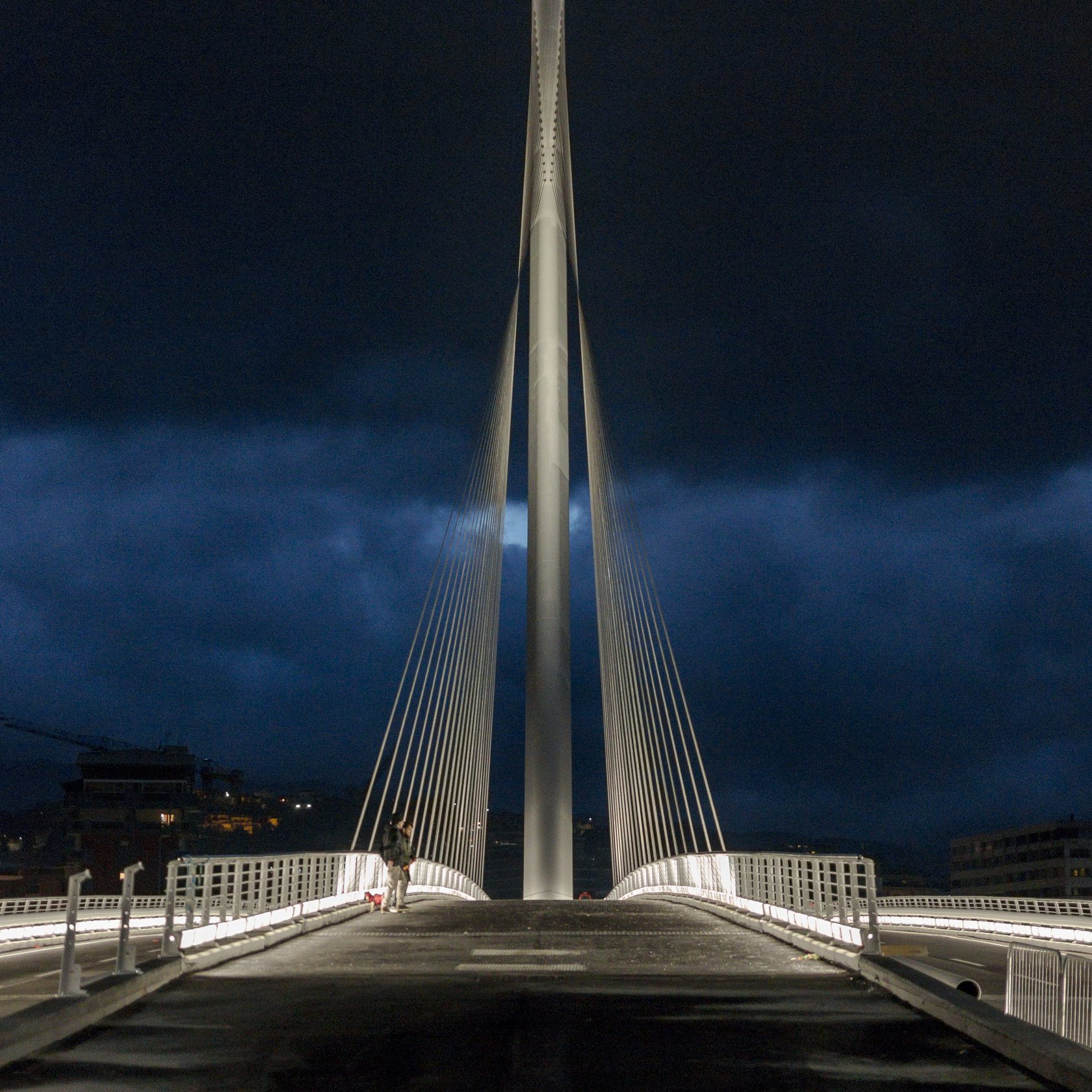 THORN COSENZA BRIDGE